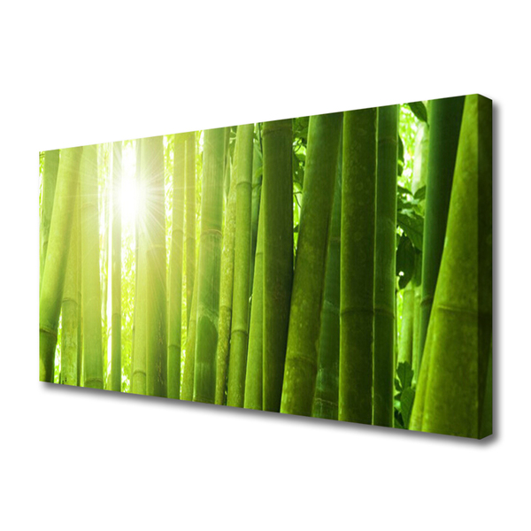 Quadro canvas Planta de bambu