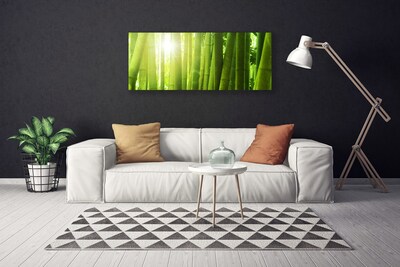 Quadro canvas Planta de bambu