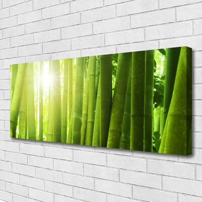 Quadro canvas Planta de bambu