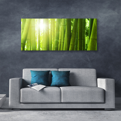 Quadro canvas Planta de bambu