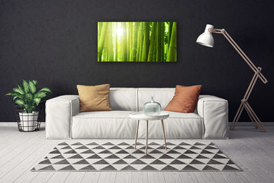 Quadro canvas Planta de bambu