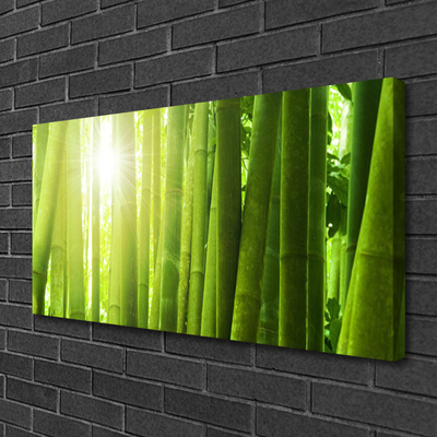 Quadro canvas Planta de bambu