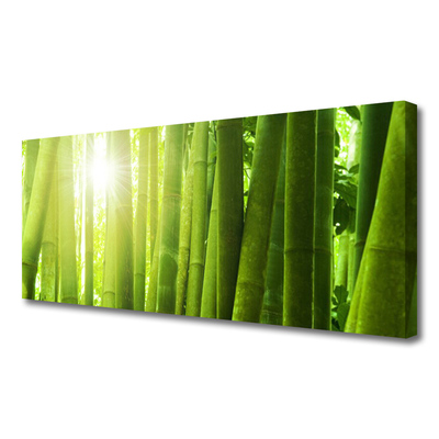 Quadro canvas Planta de bambu