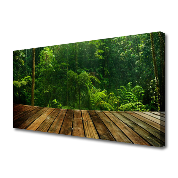 Quadro canvas Planta da Natureza da Floresta