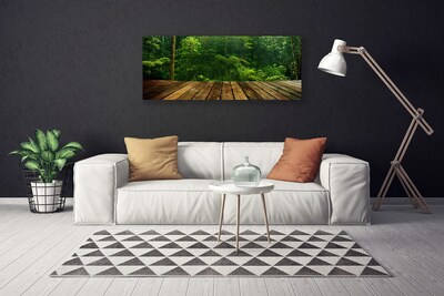 Quadro canvas Planta da Natureza da Floresta