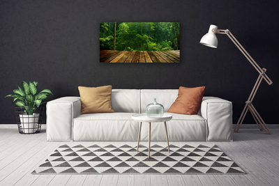 Quadro canvas Planta da Natureza da Floresta
