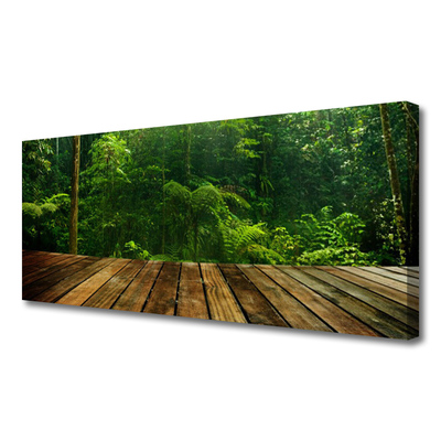 Quadro canvas Planta da Natureza da Floresta