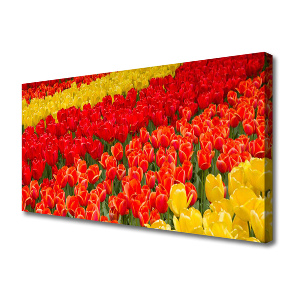 Quadro em tela Tulipas Flores
