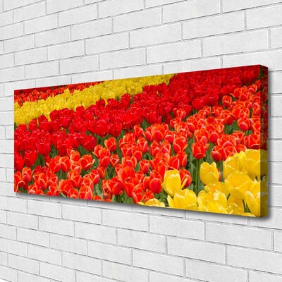Quadro em tela Tulipas Flores