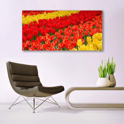 Quadro em tela Tulipas Flores