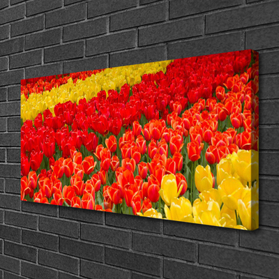 Quadro em tela Tulipas Flores