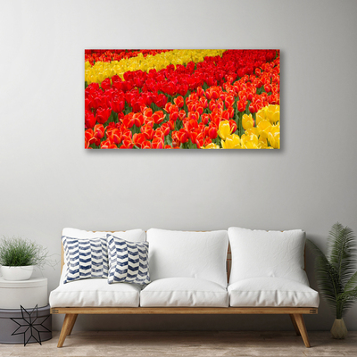 Quadro em tela Tulipas Flores