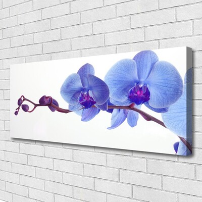 Quadro em tela Planta de flores