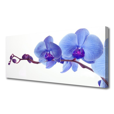 Quadro em tela Planta de flores