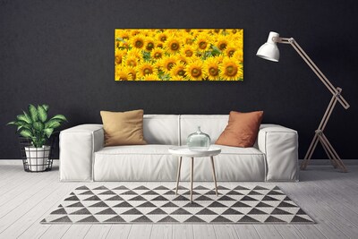 Quadro canvas Natureza da planta de girassol