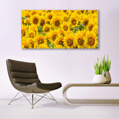 Quadro canvas Natureza da planta de girassol