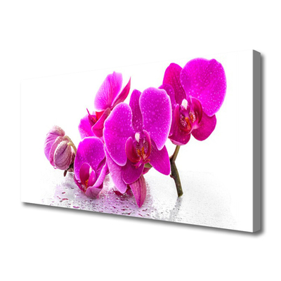 Quadro canvas Flores Amor-perfeito