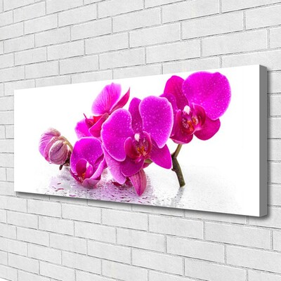 Quadro canvas Flores Amor-perfeito
