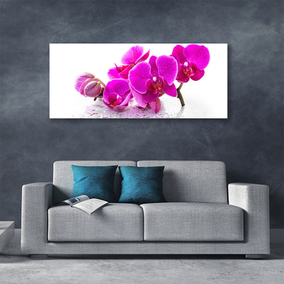Quadro canvas Flores Amor-perfeito