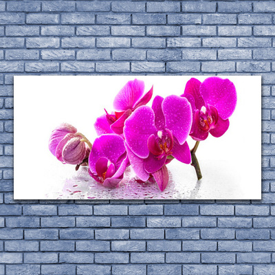 Quadro canvas Flores Amor-perfeito