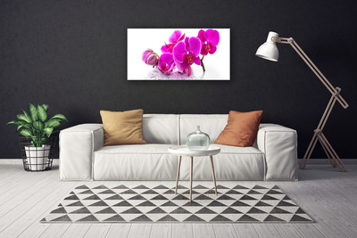 Quadro canvas Flores Amor-perfeito