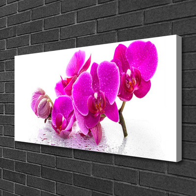 Quadro canvas Flores Amor-perfeito