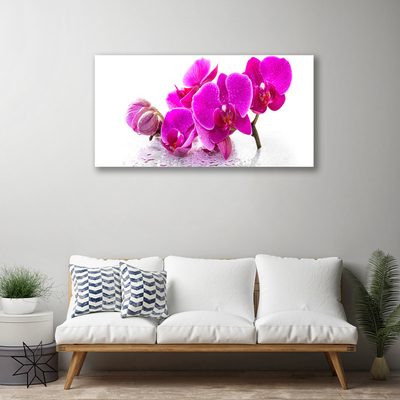 Quadro canvas Flores Amor-perfeito