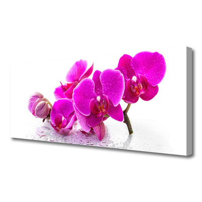 Quadro canvas Flores Amor-perfeito