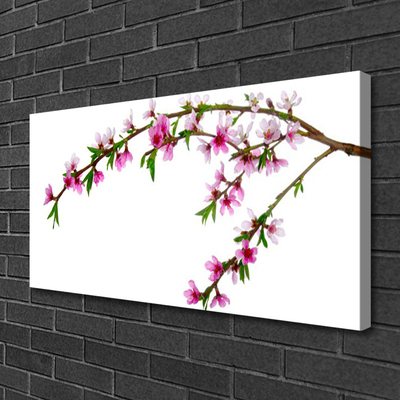 Quadro canvas Ramo Flor Natureza Planta