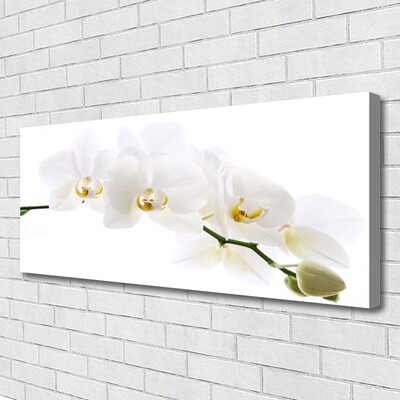 Quadro canvas Flores de orquídea