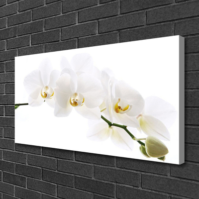 Quadro canvas Flores de orquídea