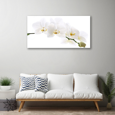Quadro canvas Flores de orquídea