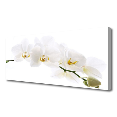 Quadro canvas Flores de orquídea