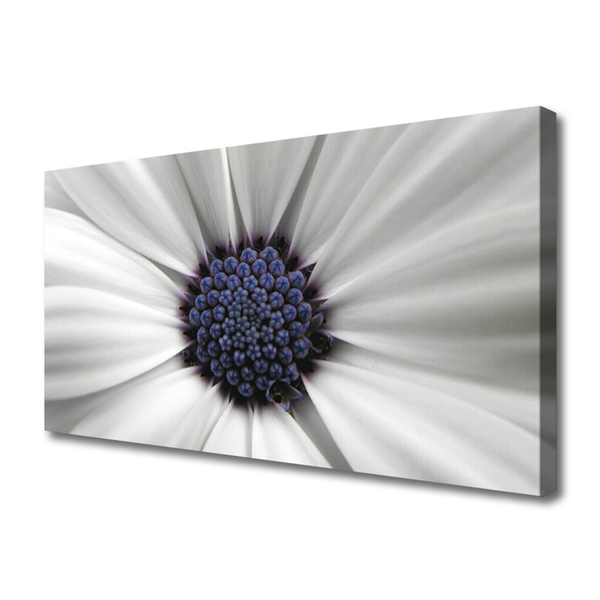 Quadro canvas Planta de flores