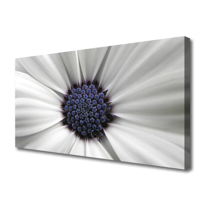 Quadro canvas Planta de flores