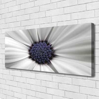 Quadro canvas Planta de flores