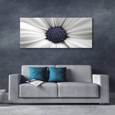 Quadro canvas Planta de flores