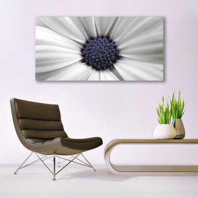 Quadro canvas Planta de flores