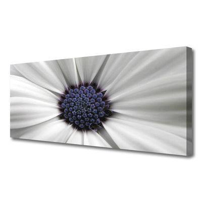 Quadro canvas Planta de flores