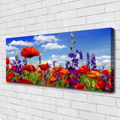 Quadro canvas Planta de tulipas