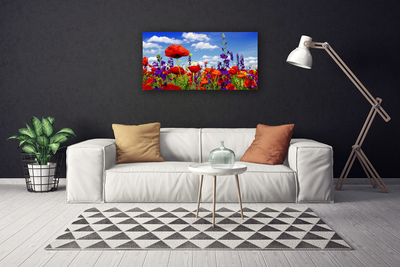Quadro canvas Planta de tulipas