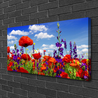 Quadro canvas Planta de tulipas