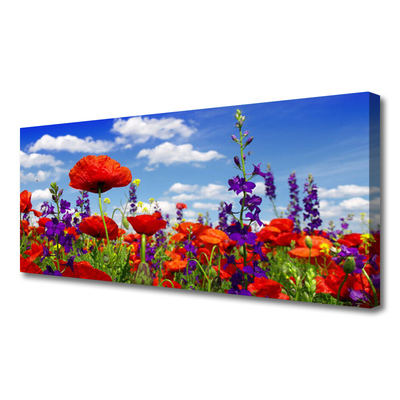 Quadro canvas Planta de tulipas