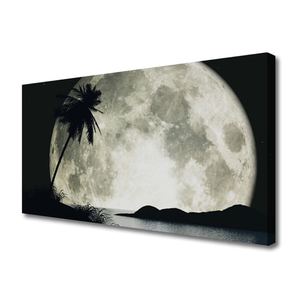 Quadro canvas Paisagem de palmeiras com lua noturna