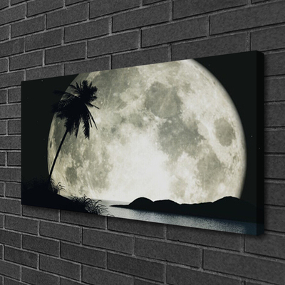 Quadro canvas Paisagem de palmeiras com lua noturna