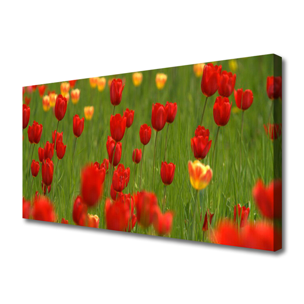 Quadro canvas Planta de tulipas