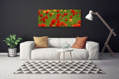 Quadro canvas Planta de tulipas