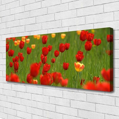 Quadro canvas Planta de tulipas