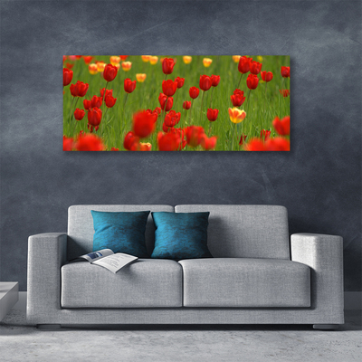 Quadro canvas Planta de tulipas