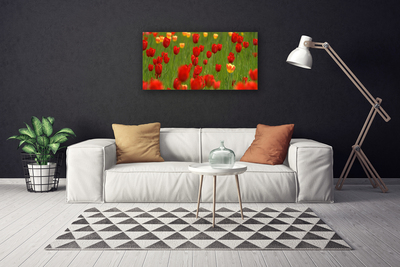 Quadro canvas Planta de tulipas